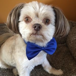 Meet Your Posher, Ceri